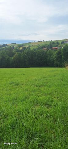 Działka budowlana Siedlce. Zdjęcie 1