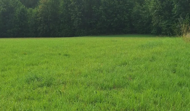 Działka budowlana Siedlce