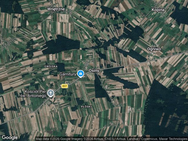 Działka rolna Osiny. Zdjęcie 1