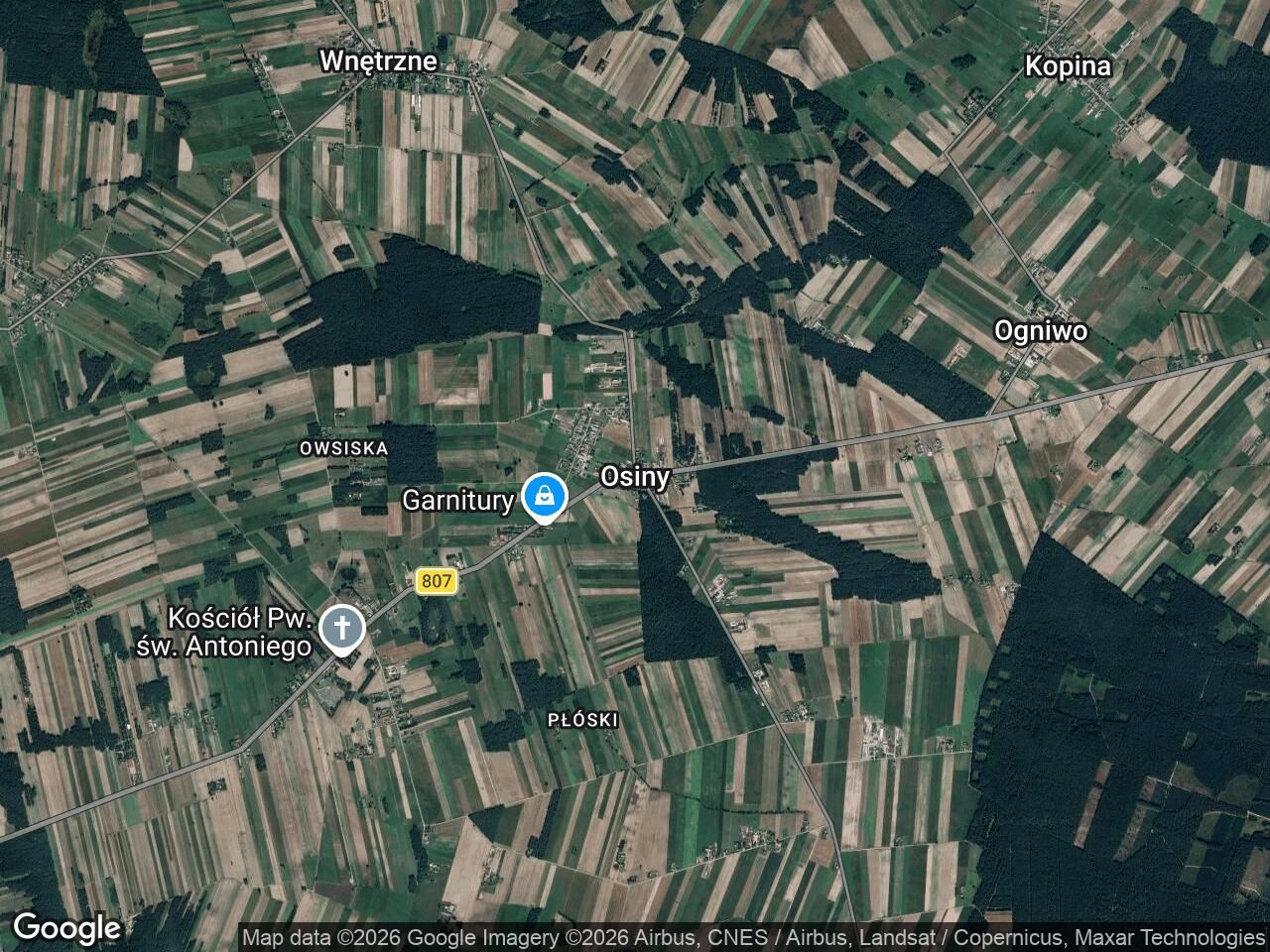 Działka rolna Osiny. Zdjęcie 1