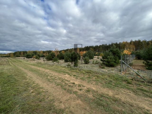 Działka rekreacyjna Gnojno. Zdjęcie 4