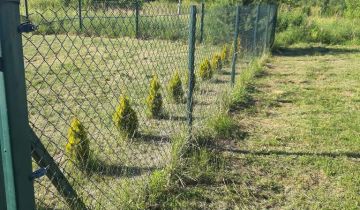 Działka rekreacyjna Nowa Łuka