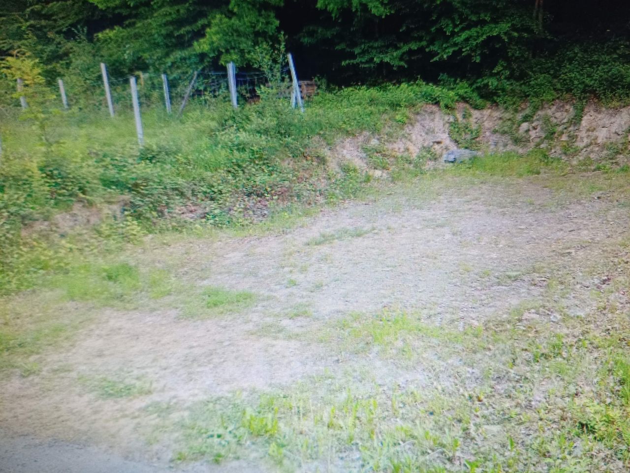 Działka budowlana Zagórnik Skornica, ul. Skornicka. Zdjęcie 7