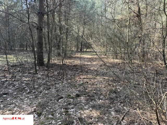 Działka budowlana Siestrzeń. Zdjęcie 5