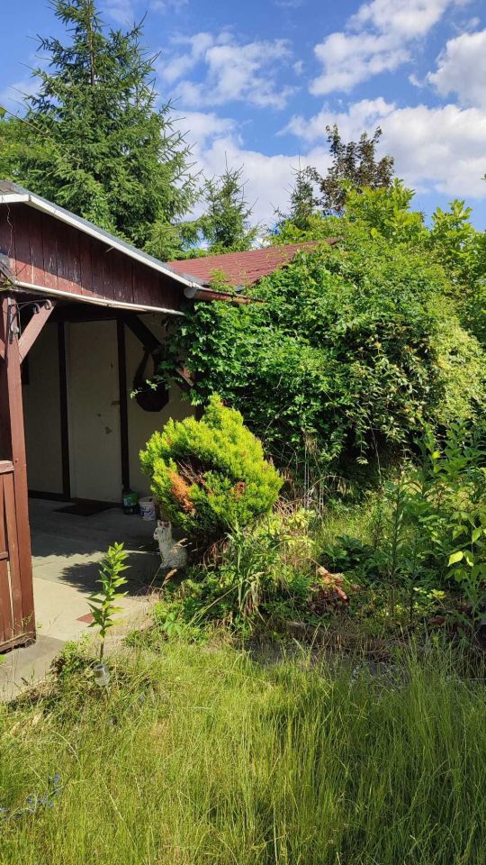 Działka rod Gorzów Wielkopolski. Zdjęcie 7