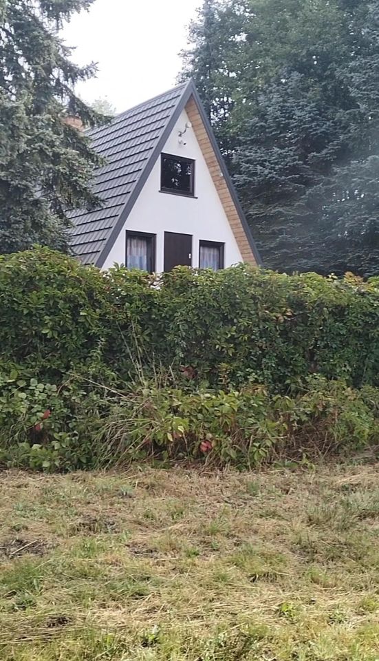 Działka inwestycyjna Rogóźno. Zdjęcie 4