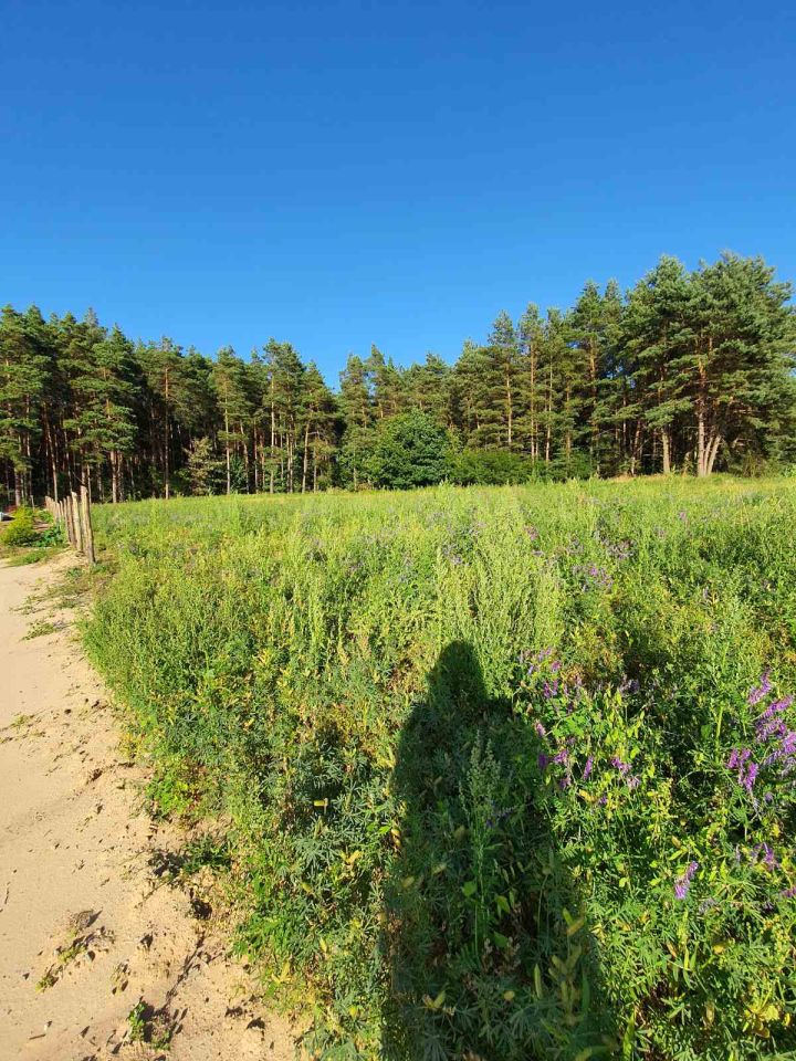 Działka budowlana Gorczeniczka. Zdjęcie 4