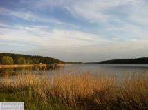 Działka rekreacyjna Grzybowo. Zdjęcie 4