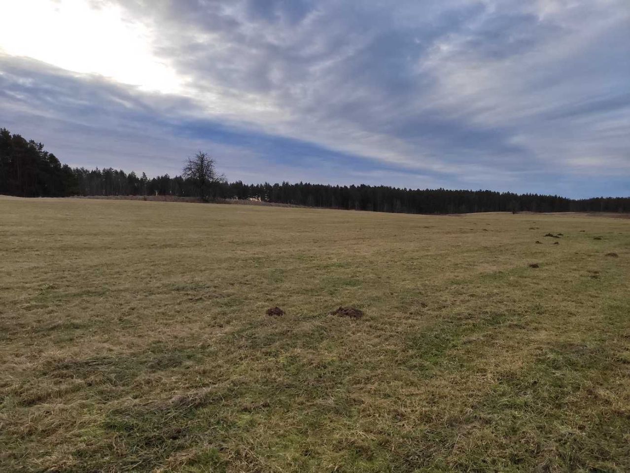 Działka budowlana Cierzpięty. Zdjęcie 6