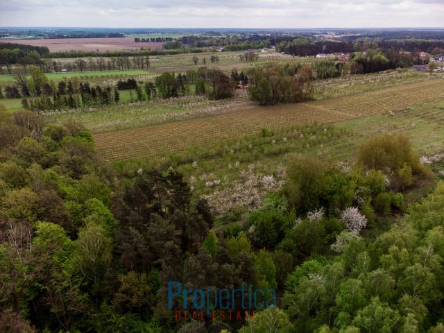 Działka budowlana Kocerany, ul. Nowy Trakt. Zdjęcie 11