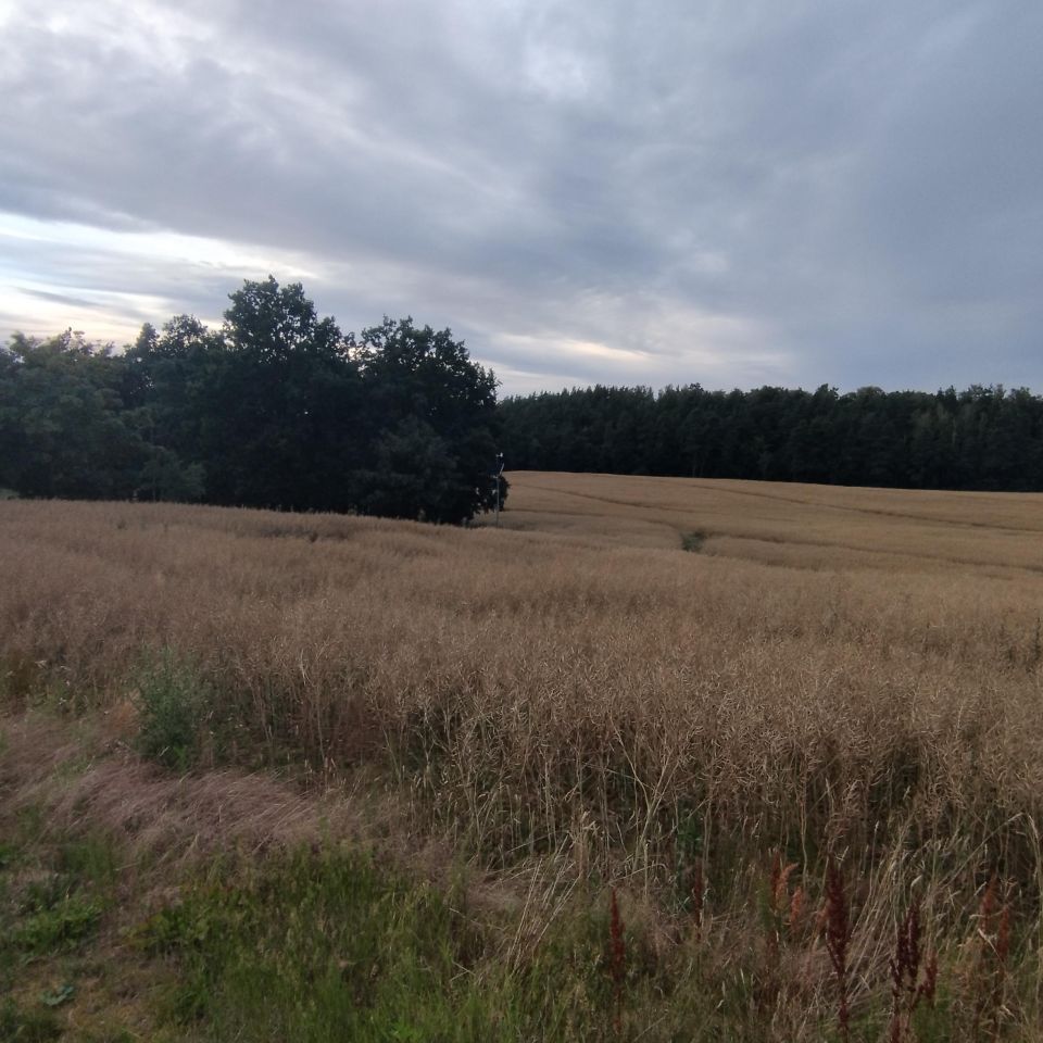 Działka rolna Czarlin, ul. Leśna. Zdjęcie 2