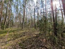 Działka budowlana Augustów Wójtowskie Włóki, ul. Lasanek. Zdjęcie 3