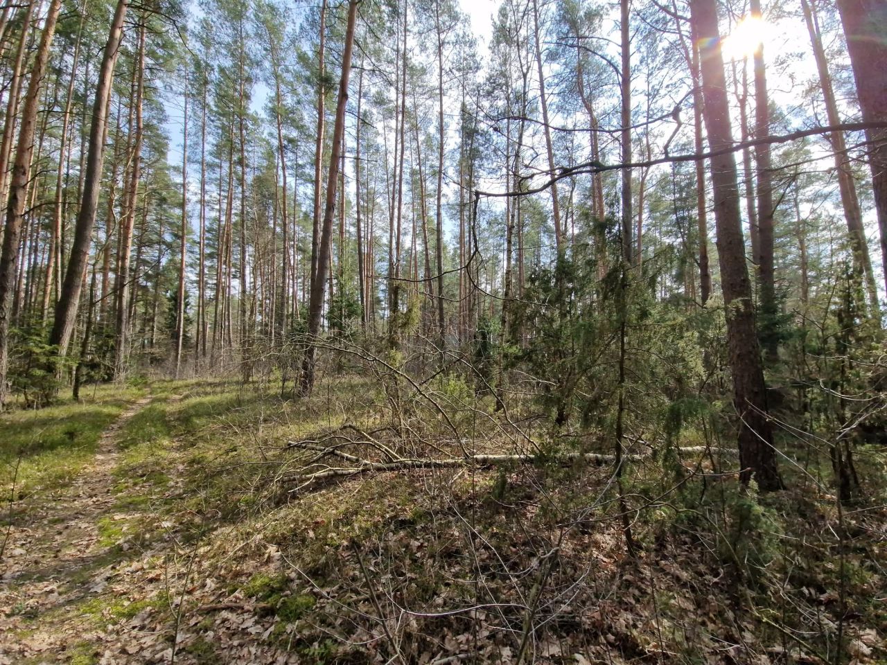 Działka budowlana Augustów Wójtowskie Włóki, ul. Lasanek. Zdjęcie 4