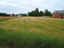 Działka rolno-budowlana Rychwał. Zdjęcie 4