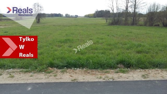 Działka rolna Sewerynów. Zdjęcie 1