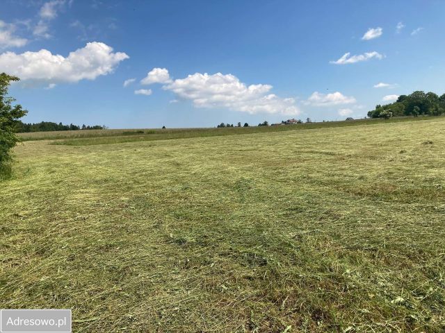 Działka budowlana Kleszczewo, ul. Miodowa. Zdjęcie 1