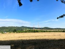 Działka budowlana Dębowina. Zdjęcie 4