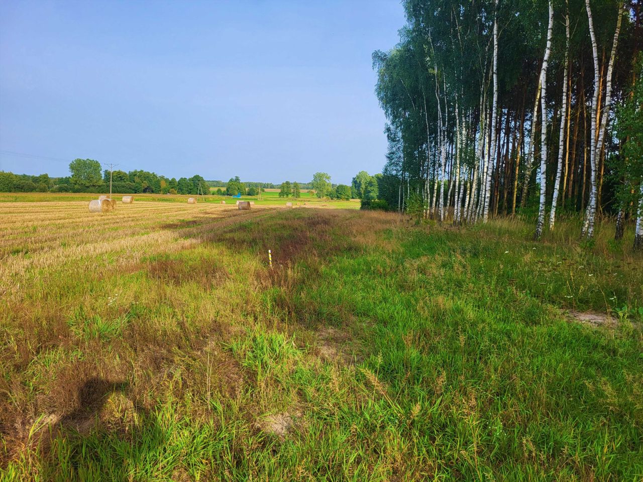 Działka budowlana Zasonie. Zdjęcie 3