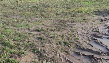 Działka rolno-budowlana Mochle