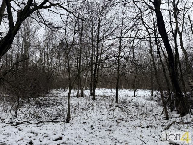 Działka rolno-budowlana Szarwark. Zdjęcie 14