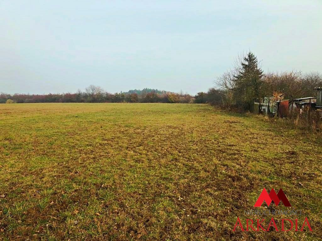 Działka inwestycyjna Aleksandrów Kujawski. Zdjęcie 6