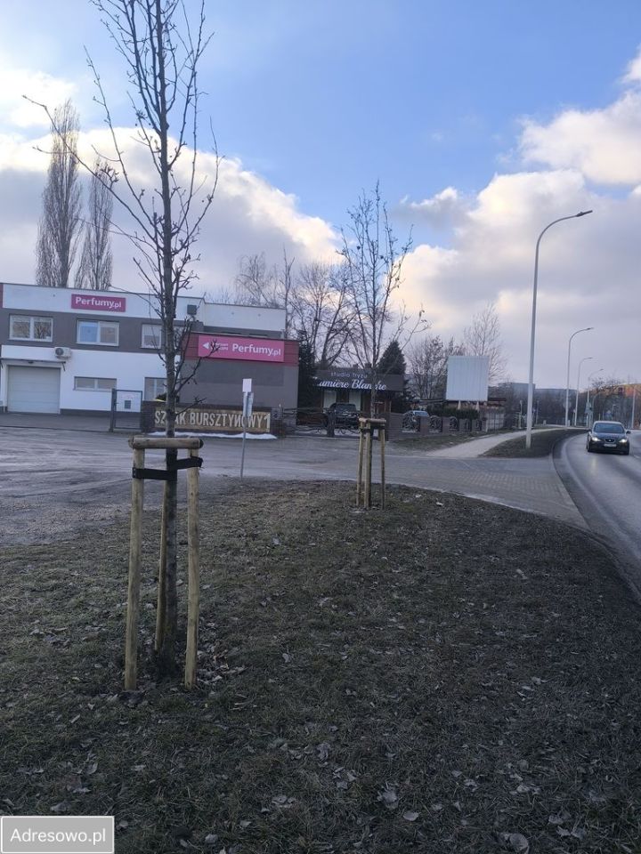 Lokal Kalisz. Zdjęcie 12