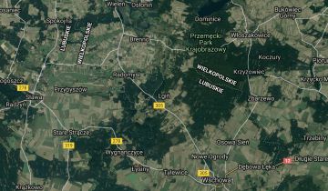 Działka budowlana Lgiń