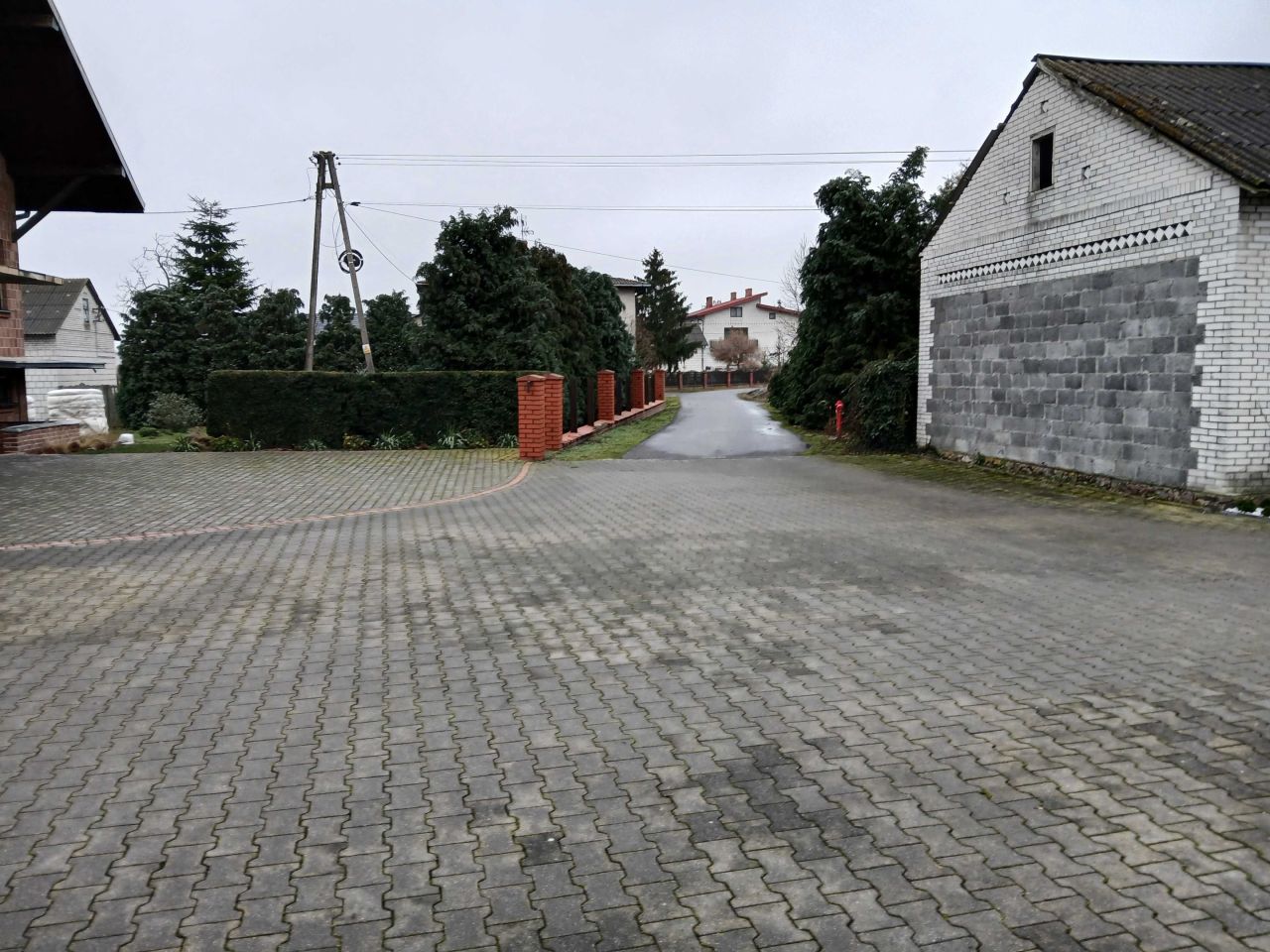 Działka rolna Czarnocin. Zdjęcie 3