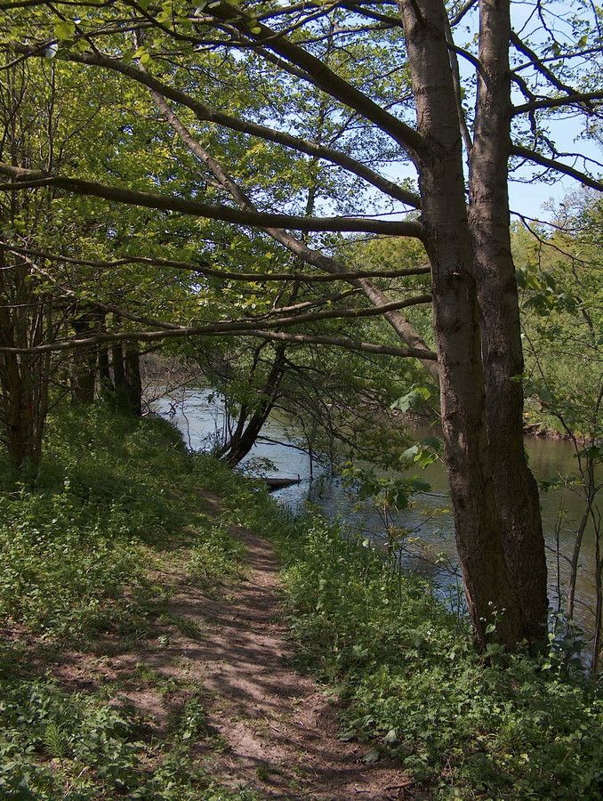 Działka budowlana Włynkówko, ul. Aleja nad Rzeką. Zdjęcie 12