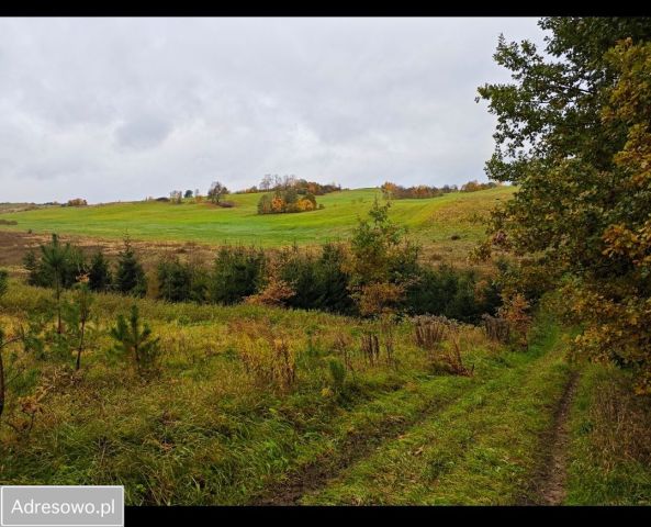 Działka rolno-budowlana Kiersztanowo. Zdjęcie 1
