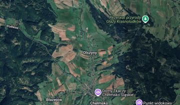 Działka rolna Olszyny