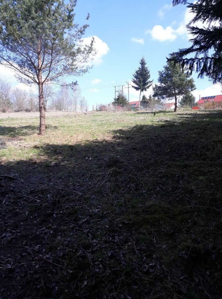 Działka rolno-budowlana Patryki. Zdjęcie 7