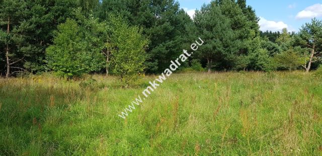 Działka budowlana Książenice. Zdjęcie 7