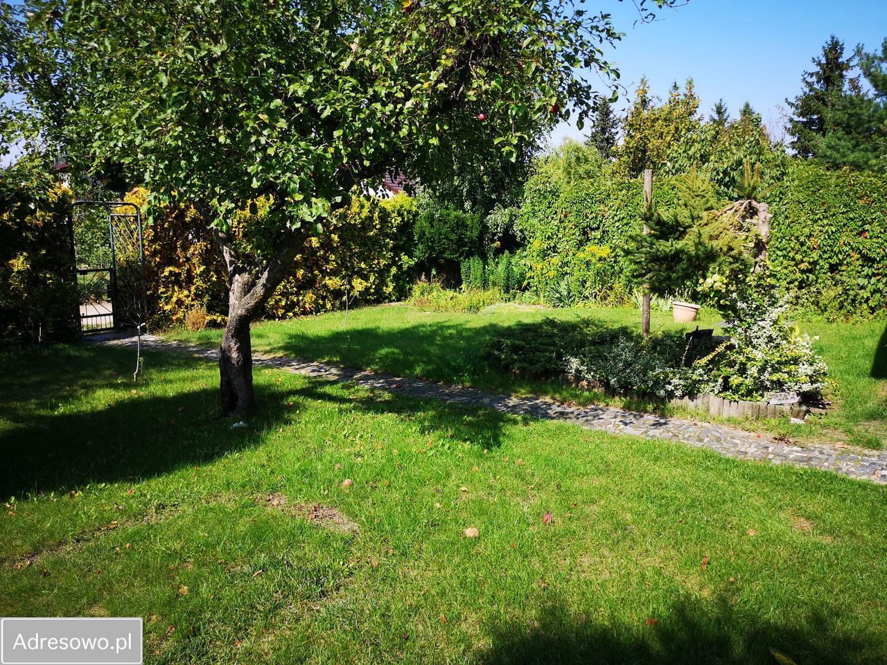 Działka rod Poznań Grunwald, ul. Bukowska. Zdjęcie 6