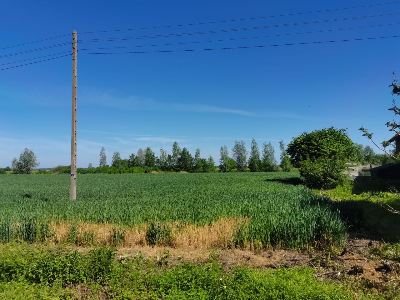 Działka budowlana Groszkowo Groszkowo. Zdjęcie 2