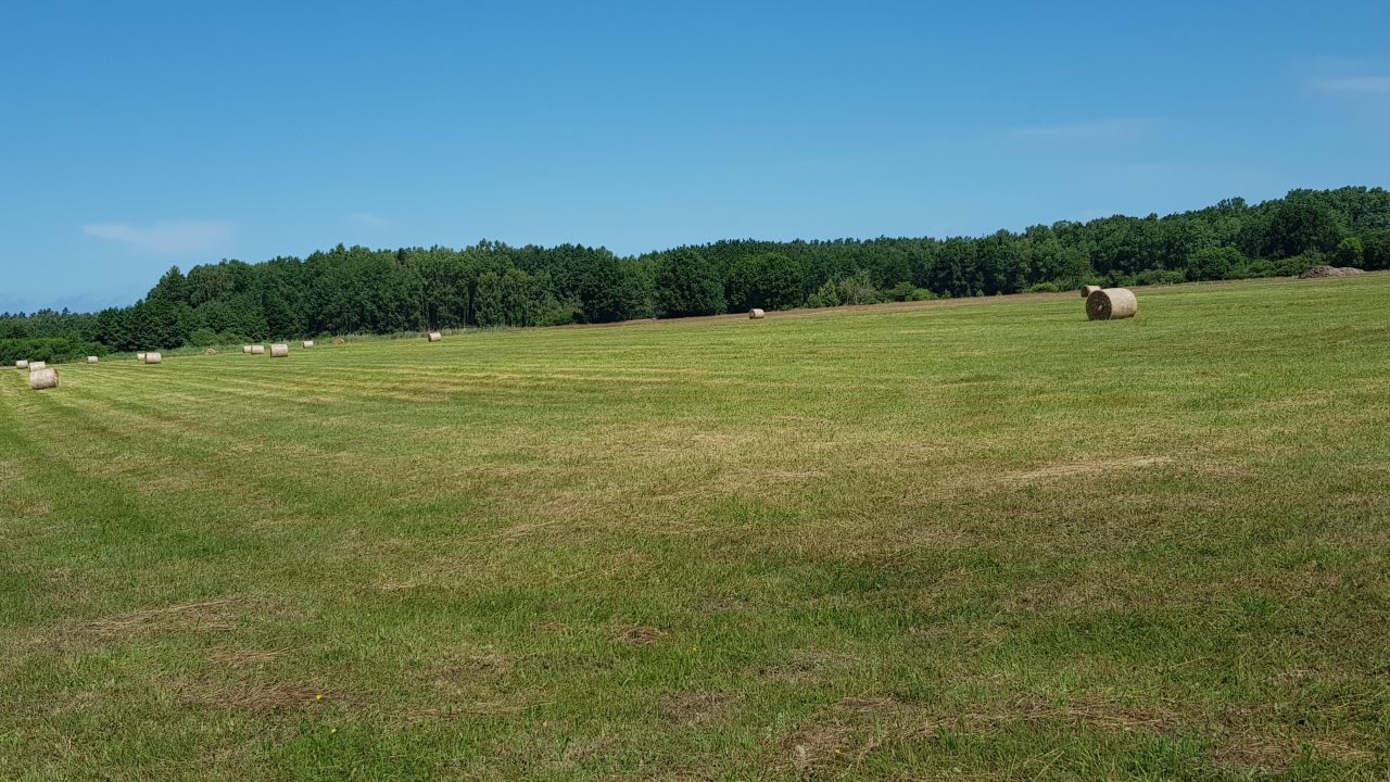 Działka budowlana Sarbsk, ul. Morska. Zdjęcie 4