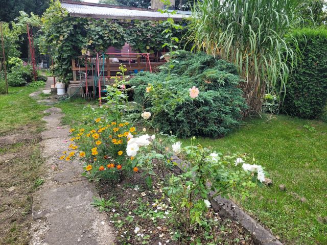 Działka rod Wrocław, ul. Strachowicka. Zdjęcie 1