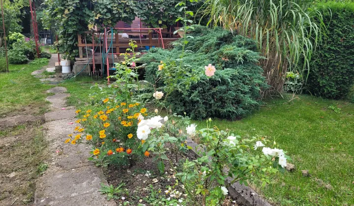 Działka rod Wrocław, ul. Strachowicka