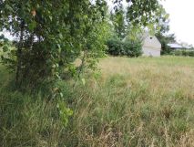 Działka rolna Wólka. Zdjęcie 3