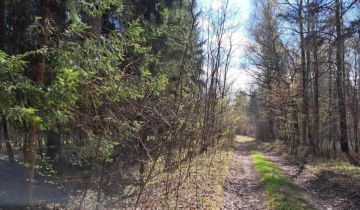 Działka rolno-budowlana Przyłogi Znajoma