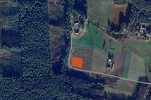 Działka siedliskowa Dobry Las. Zdjęcie 3