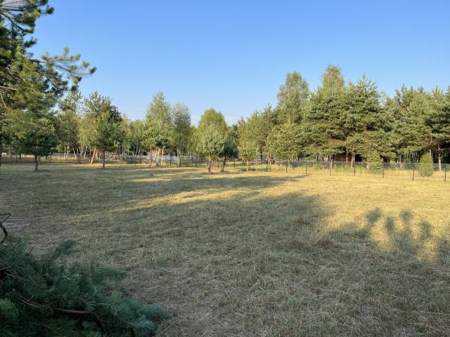 Działka rekreacyjna Grabie. Zdjęcie 1