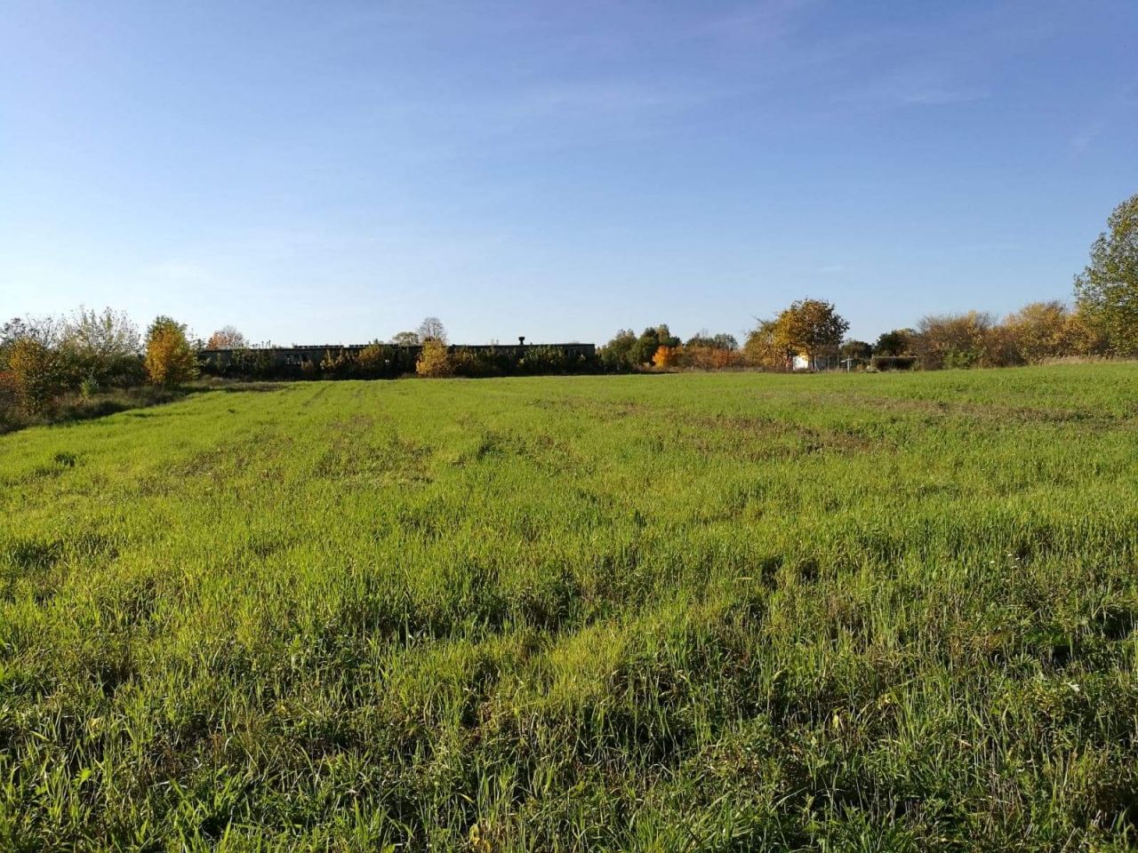 Działka budowlana Wałcz, ul. Wronia. Zdjęcie 4