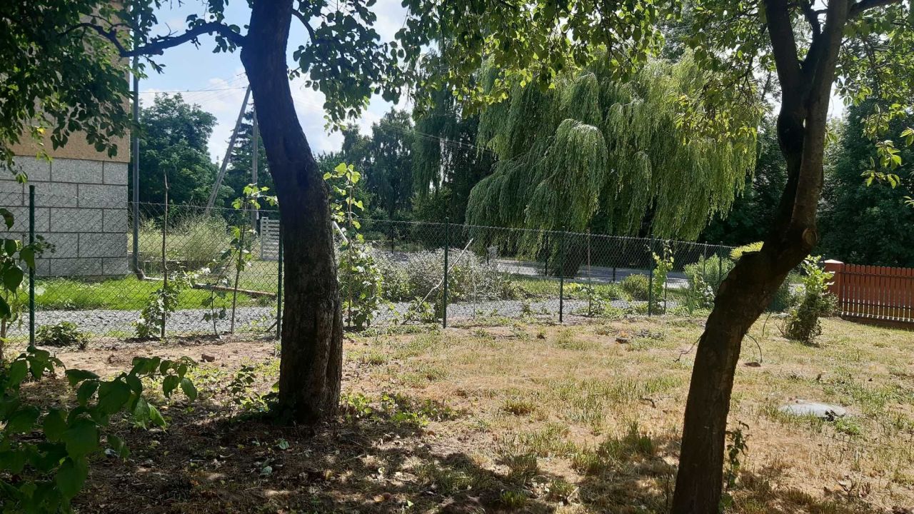 dom wolnostojący, 3 pokoje Mojsławice-Kolonia. Zdjęcie 3