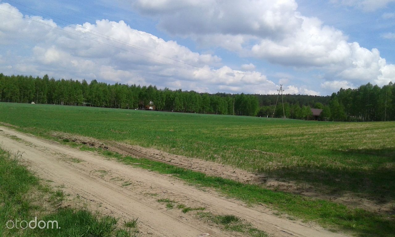 Działka rekreacyjna Sabinów. Zdjęcie 2