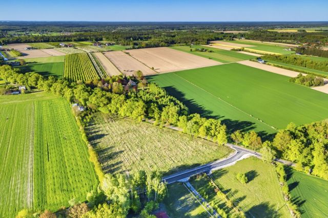 Działka budowlana Pasikonie. Zdjęcie 5