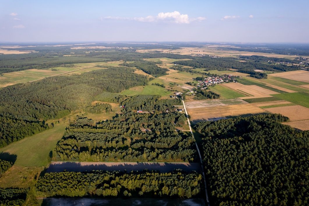Działka budowlana Dąbie. Zdjęcie 6