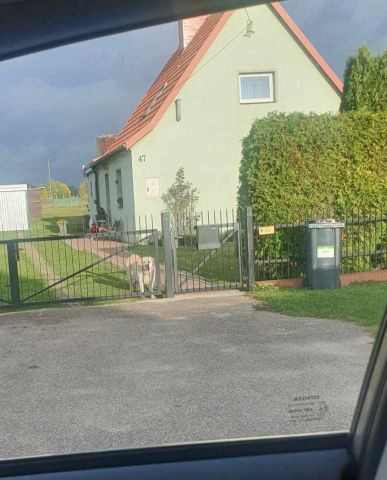 dom wolnostojący, 4 pokoje Brejdyny. Zdjęcie 1