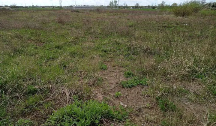 Działka inwestycyjna Poznań Nowe Miasto, ul. Ostrowska