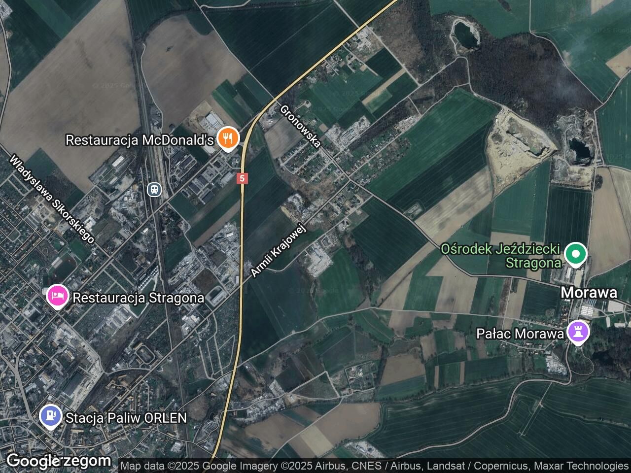 Hala/magazyn Strzegom, ul. Winogronowa